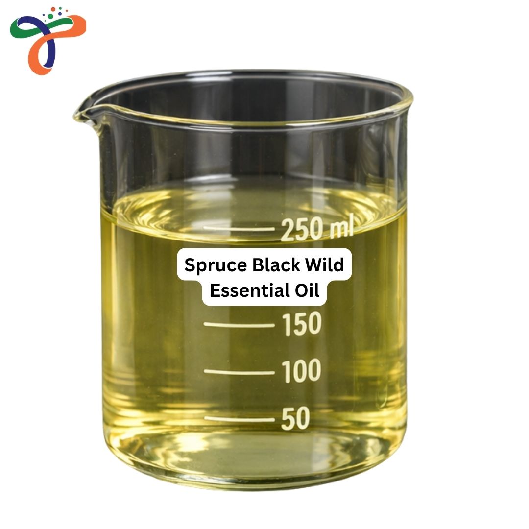 Spruce Black Wild Essential Oil